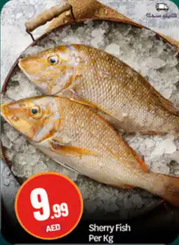 Bigmart Sherry Fish offer