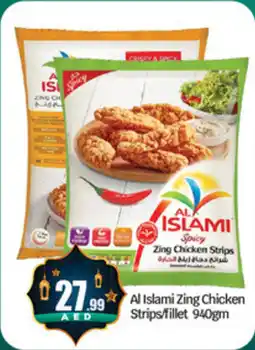 Bigmart Al Islami Zing Chicken Strips / Fillet offer