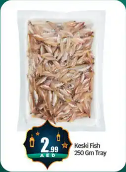 Bigmart Keski Fish offer