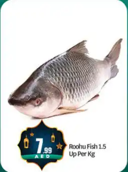 Bigmart Roohu Fish 1.5 Up offer