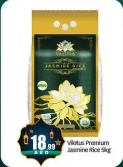 Bigmart Vilotus Premium Jasmine Rice offer