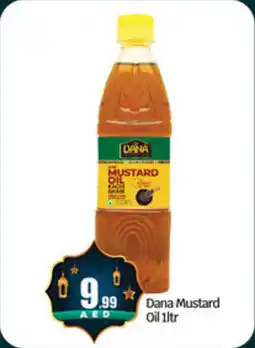 Bigmart Dana Mustard Oil offer