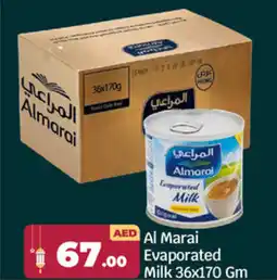 Bigmart Almarai Evaporated Milk offer