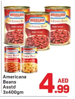 Day To Day AMERICANA Baked Beans offer