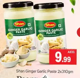 Talal Market SHAN Garlic Paste offer