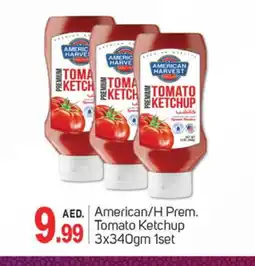 Talal Market AMERICAN HARVEST Tomato Ketchup offer