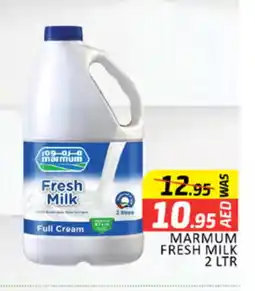 Al Madina MARMUM Fresh Milk offer