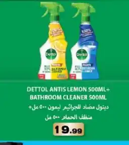 Bigmart DETTOL Toilet / Drain Cleaner offer