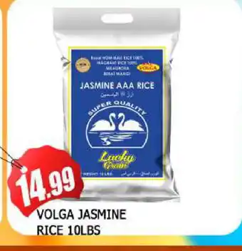 Al Madina VOLGA Jasmine Rice offer