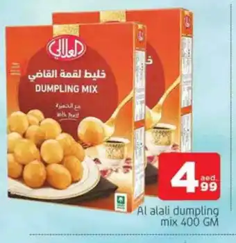 Al Madina AL ALALI Dumpling Mix offer