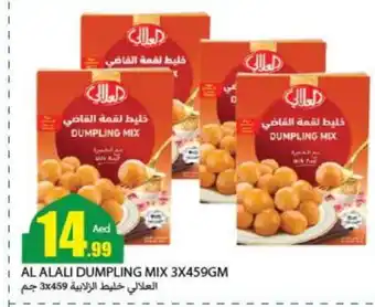 Rawabi Market AL ALALI Dumpling Mix offer