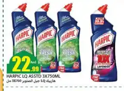 Rawabi Market HARPIC Toilet / Drain Cleaner offer