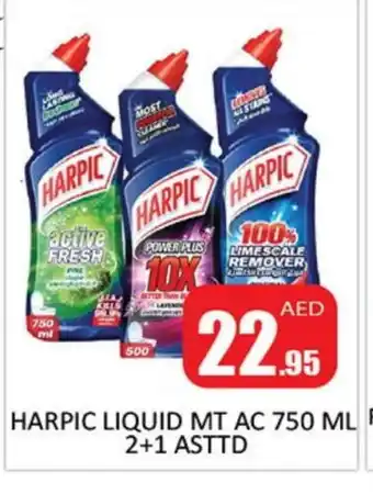 Al Madina HARPIC Toilet / Drain Cleaner offer