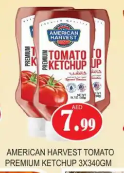 Gulf Hypermarket AMERICAN HARVEST Tomato Ketchup offer