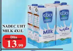 Al Madina NADEC Long Life / UHT Milk offer