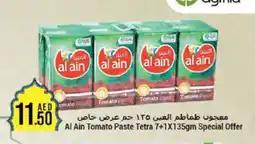 West Zone Supermarket AL AIN Tomato Paste offer