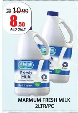 Al Madina MARMUM Fresh Milk offer