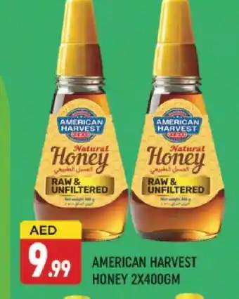 Al Madina AMERICAN HARVEST Honey offer