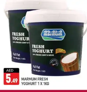 Shaklan MARMUM Yoghurt offer