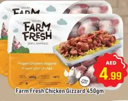 Al Madina FARM FRESH Chicken Gizzard offer