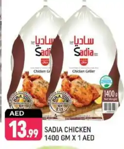 Shaklan SADIA Frozen Whole Chicken offer