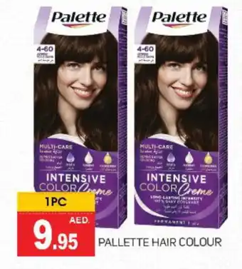 Talal Market PALETTE Hair Colour offer