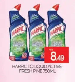 Al Madina HARPIC Toilet / Drain Cleaner offer