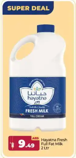 Bigmart HAYATNA Full Cream Milk offer