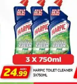 Al Madina HARPIC Toilet / Drain Cleaner offer