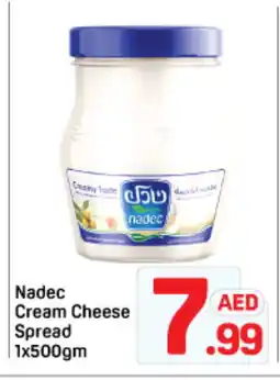 Day To Day NADEC Cream Cheese offer