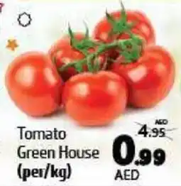 Al Hoot Tomato Green House offer