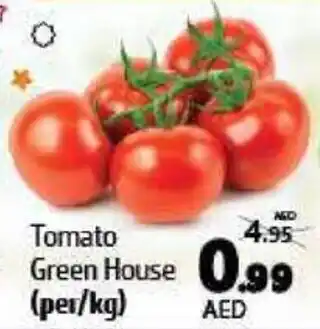 Al Hoot Tomato Green House offer