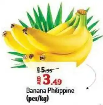 Al Hoot Banana Philippine offer