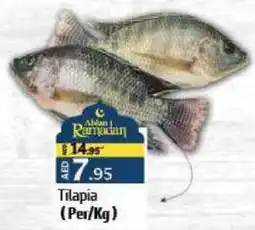 Tilapia