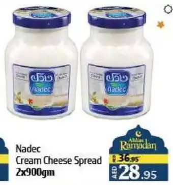 Al Hoot Nadec Cream Cheese Spread offer