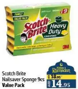 Al Hoot Scotch Brite Nailsaver Sponge offer