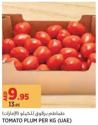 Géant Tomato plum offer