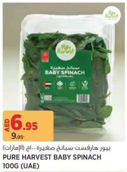 Géant Pure harvest baby spinach offer