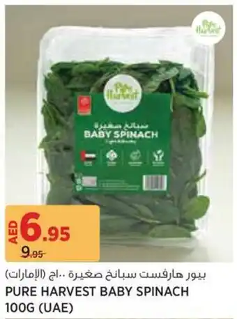 Géant Pure harvest baby spinach offer