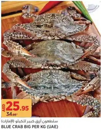 Géant Blue Crab Big offer