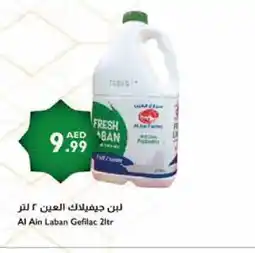 Istanbul Supermarket AL AIN Laban offer