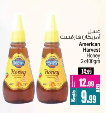 Ansar Gallery AMERICAN HARVEST Honey offer