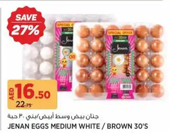 Géant Jenan Eggs Medium White / Brown offer