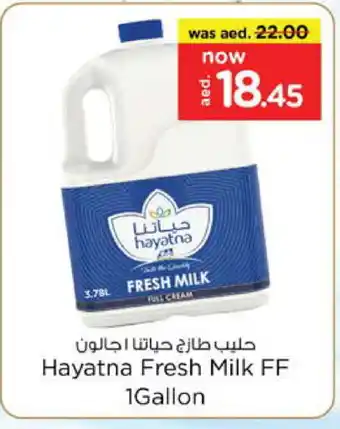 Nesto HAYATNA Fresh Milk offer