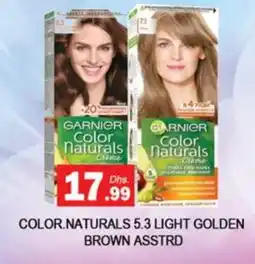 Zain Hypermarket GARNIER Hair Colour offer