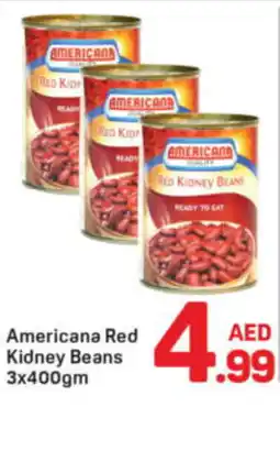 Day To Day Americana red kidney beans offer