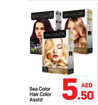 Day To Day Sea color hair color offer