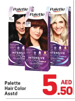 Day To Day PALETTE Hair Colour offer