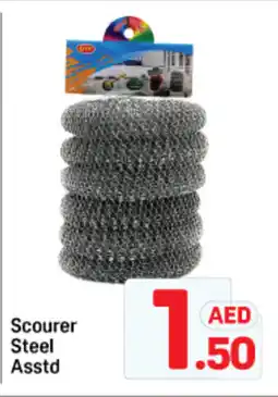 Day To Day Scourer steel offer