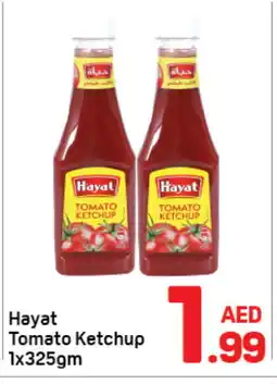 Day To Day HAYAT Tomato Ketchup offer